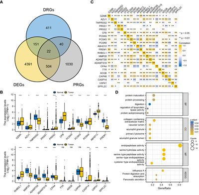A degradome-based prognostic signature that correlates with immune infiltration and tumor mutation burden in breast cancer